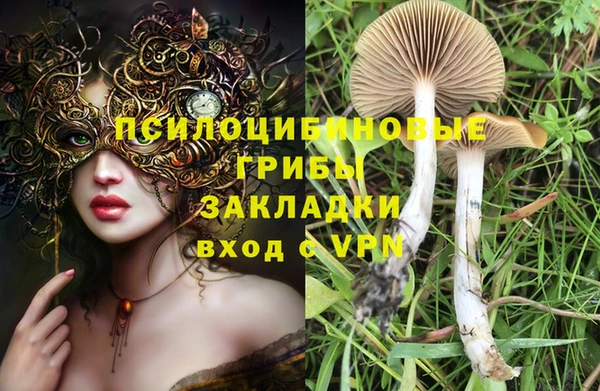 синтетический гашиш Алексеевка