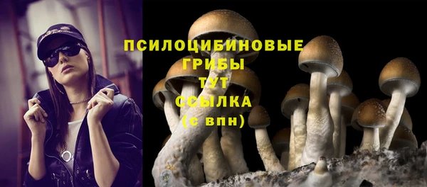 мяу мяу мука Алзамай